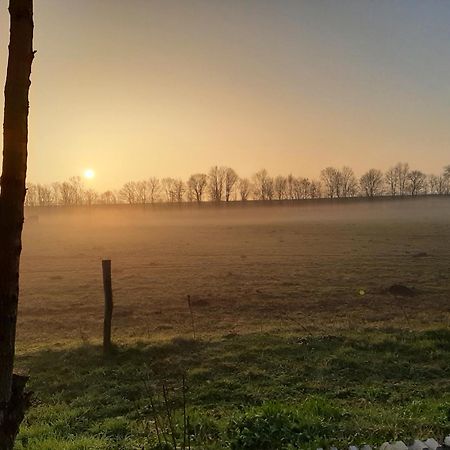 Biesboschbest Werkendam Luaran gambar
