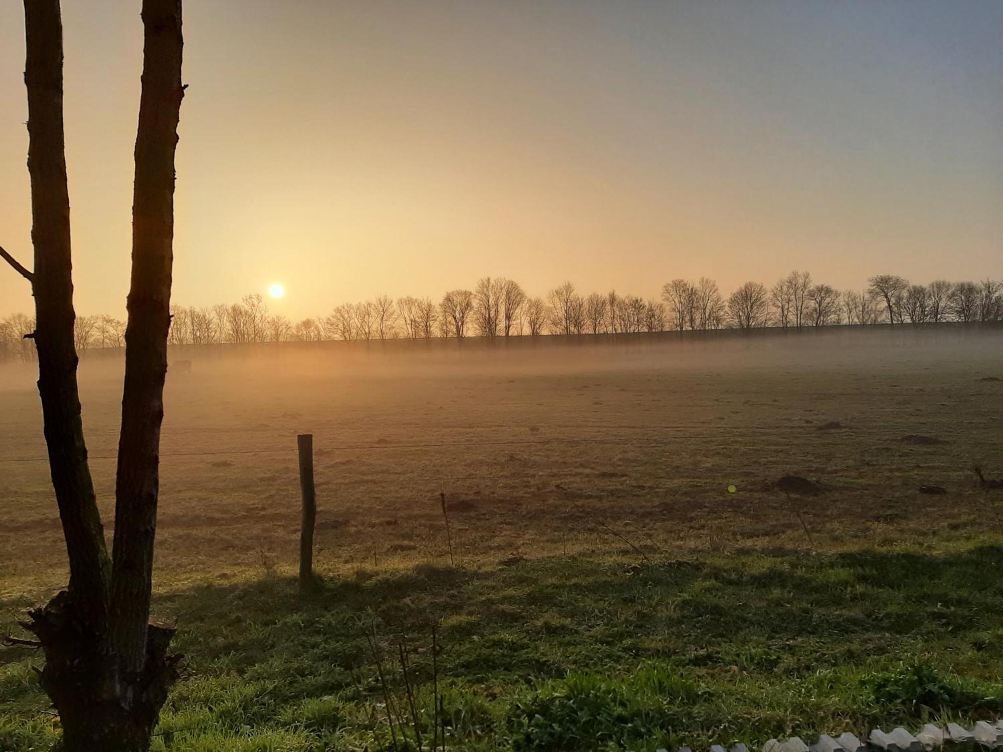 Biesboschbest Werkendam Luaran gambar